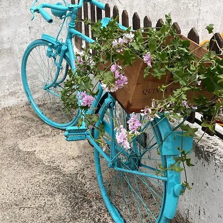 Casa de hóspedes Del Rey Tomar