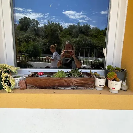 Casa de hóspedes Del Rey