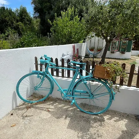 Del Rey Πανσιόν 4*