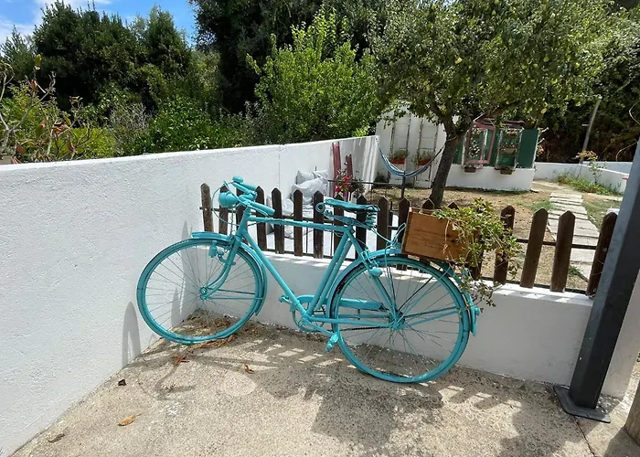Del Rey Konukevi 4*